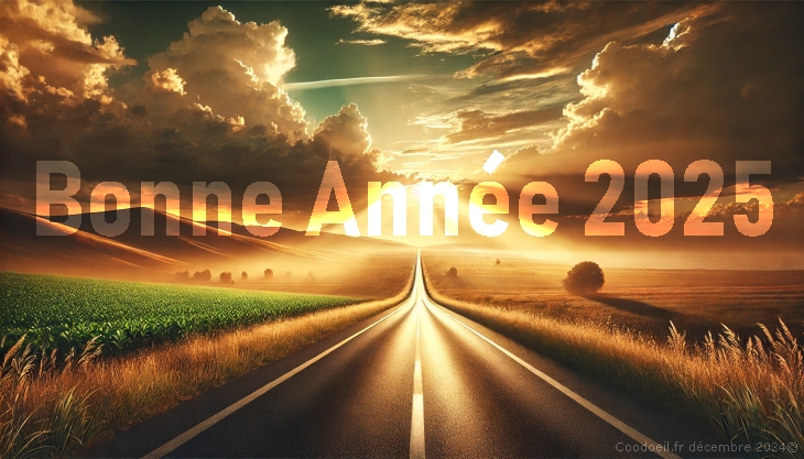 bonne-annee-2025-coodoeil