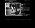 110732 : Photography's Alley Gallery - Photographes et Photographies d'art