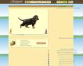 126954 : Jeu de chien pour les fans de chiens : Dogzer