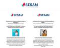 133889 : Institut Sesam : Prépa concours formations tourisme assistante langues