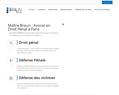 230555 : Avocat Droit Pénal Paris - Alexandre-M. BRAUN : Avocat Pénaliste