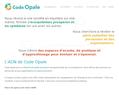 252152 : Formations et coaching pour les organisations et individus - Code Opale