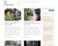 256676 : Chiens guides | Blog chien