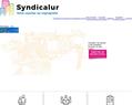 258538 : Syndicalur - coutier en syndic de copropriété 