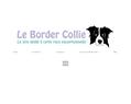 260235 : Le Border Collie - Tout savoir sur ce chien hyper intelligent