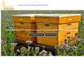 260372 : Ruche Entreprise - Location et Installation de Ruches