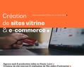 260695 : Agence web & production vidéo - Créateur de sites en Haute-Loire