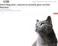 260972 : Le Journal du Chat - Le Blog chat dédié aux amoureux des chats