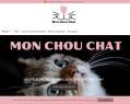 261089 : Mon Chou Chat - Votre Boutique Spécialisée pour le Bien-Être de Votre Chat