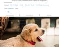 261250 : Articles et Accessoires pour Chien