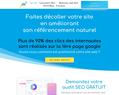 261816 : Postionnez votre site en 1ère page de Google avec un consultant seo expert