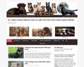 261900 : Chiens.top, votre blog canin