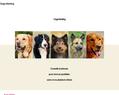 62761 : DogsMeeting- Le premier site de rencontres pour chiens - Page d'accueil du site