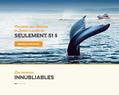 64274 : Communauté / Communauty Essipit - Croisire aux baleines / Whale watching cruises - Pourvoiries / Outfitters - Camping