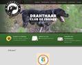 64526 : Drahthaar Club de France, dcf, Chien de race, braque allemand a poil dur, chien de chasse