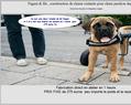 83703 : Voiturette pour chien paralysé - handicapé