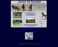 95813 : Haras de Salvert